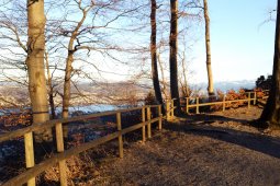 Bergklub: Felsenegg (789 m.ü.M.)