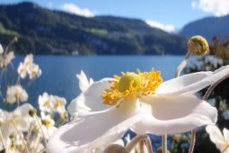 Bergklub: Interview mit Elke Damm