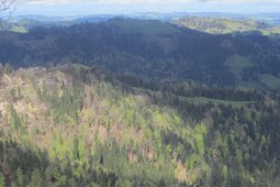 Bergklub: Napf (im Emmental) (1408 m.ü.M.)