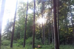 Bergklub: Gubrist (613 m.ü.M.)