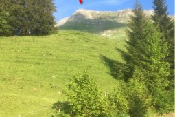 Bergklub: Dent de Lyss (2014 m.ü.M.)